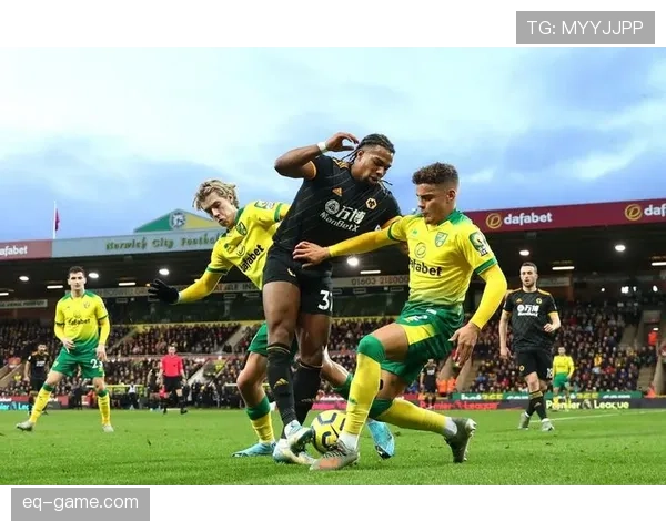 诺维奇金丝雀本赛季状态回暖竞争力增强